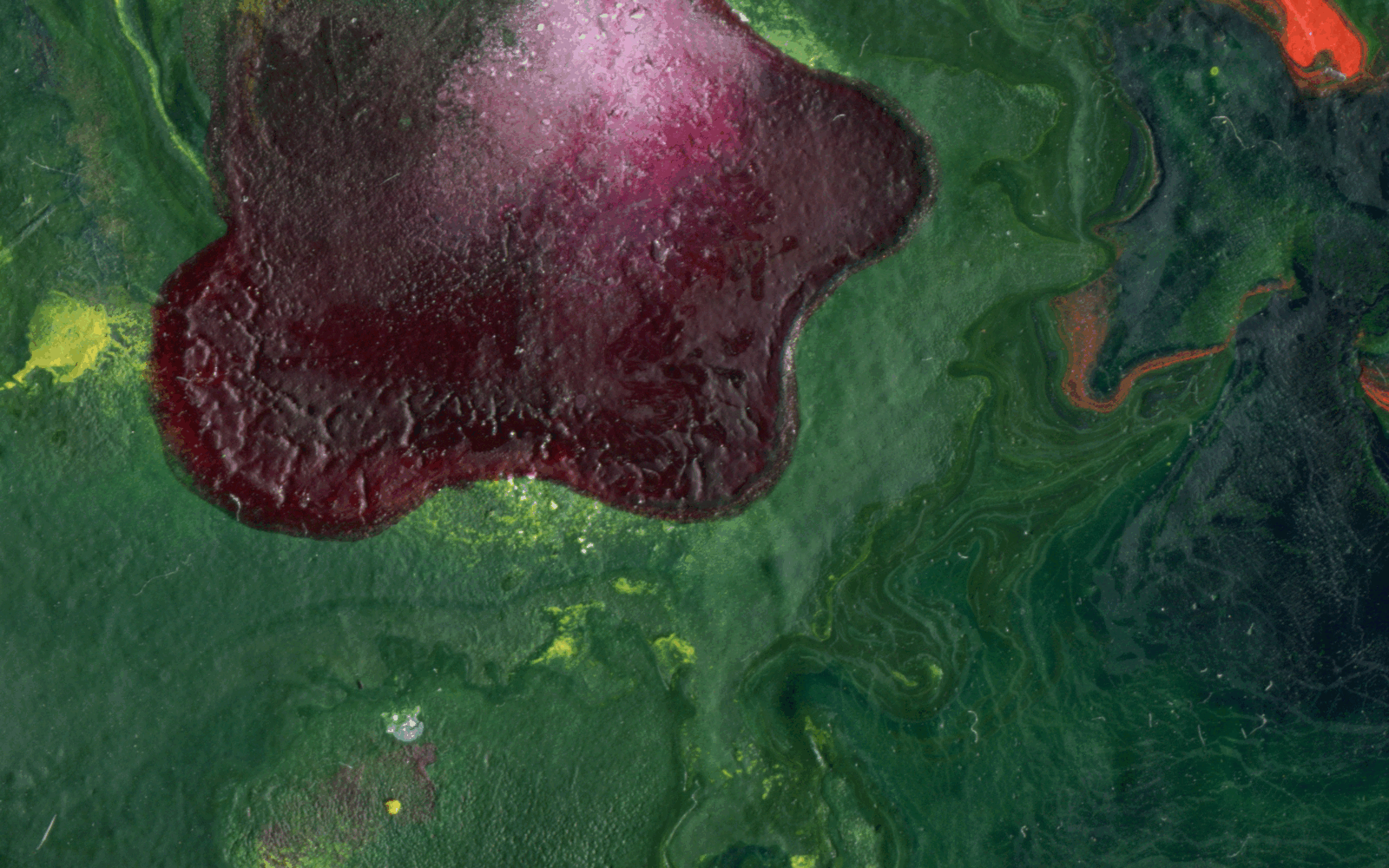 Üretim ve Dağıtım