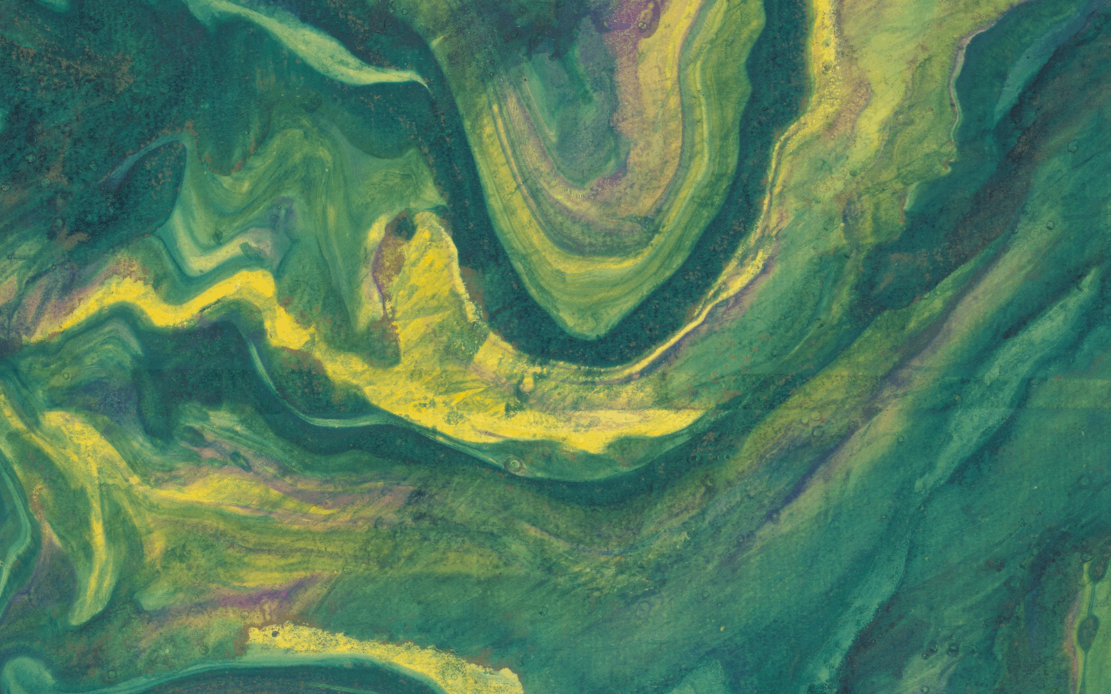 Profesyonel Hizmetler